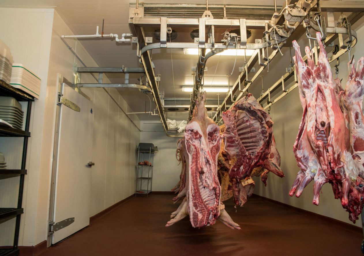 INSTALLATION DAMA Panneaux exterieurs projet